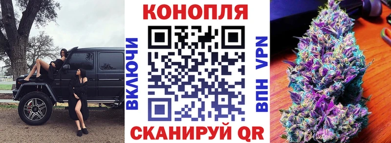 Шишки марихуана конопля  где купить наркоту  Калач 